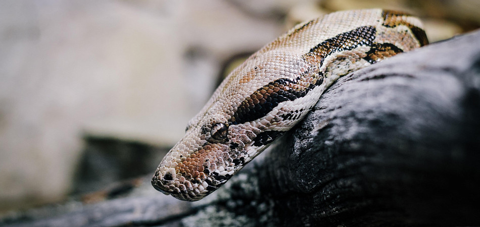 Не отравляйте себе жизнь