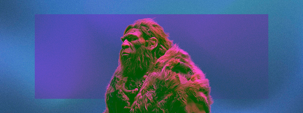 А мы точно произошли от обезьян? 8 фактов о происхождении человека