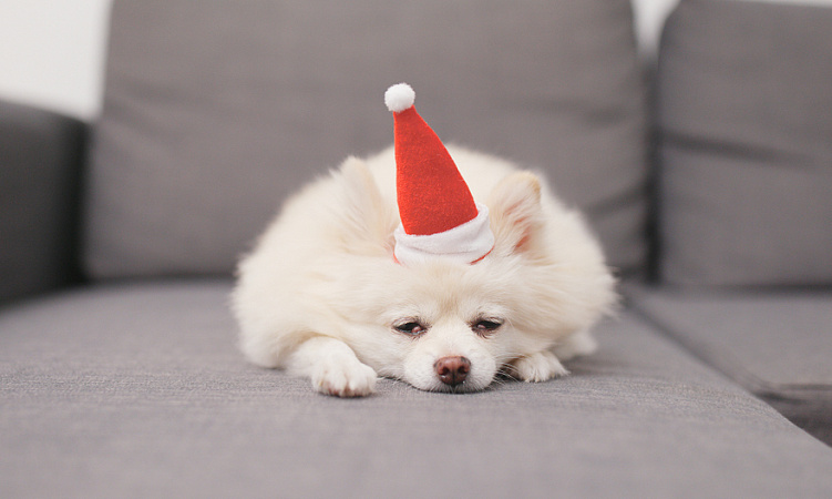 7 книг для тех, кто устал 7 книг для тех, кто устал