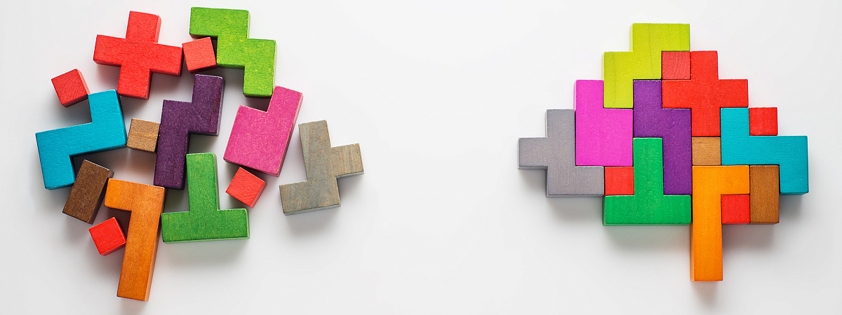 Структура для хаоса: как управлять сложными системами в жизни и бизнесе