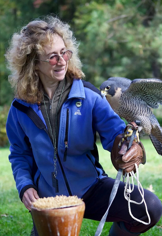 Сай Монтгомери