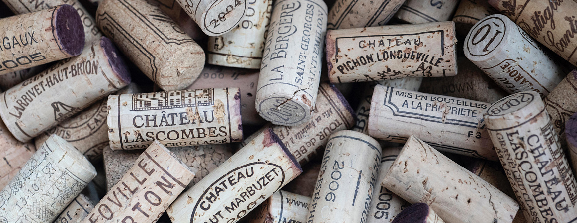 Выбрать бутылку вина и не разочароваться: 18+