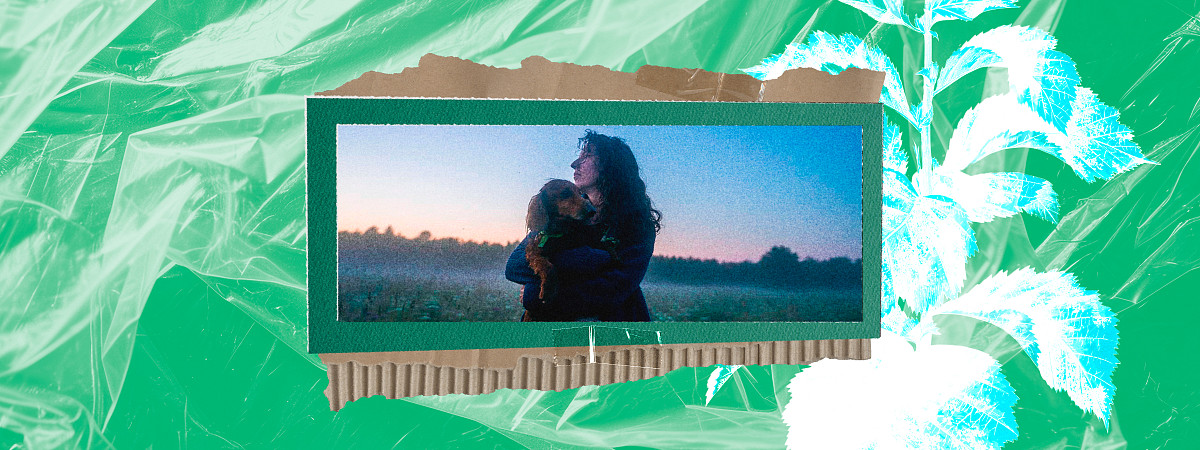 Как жить с питомцами экологично: 7 лайфхаков