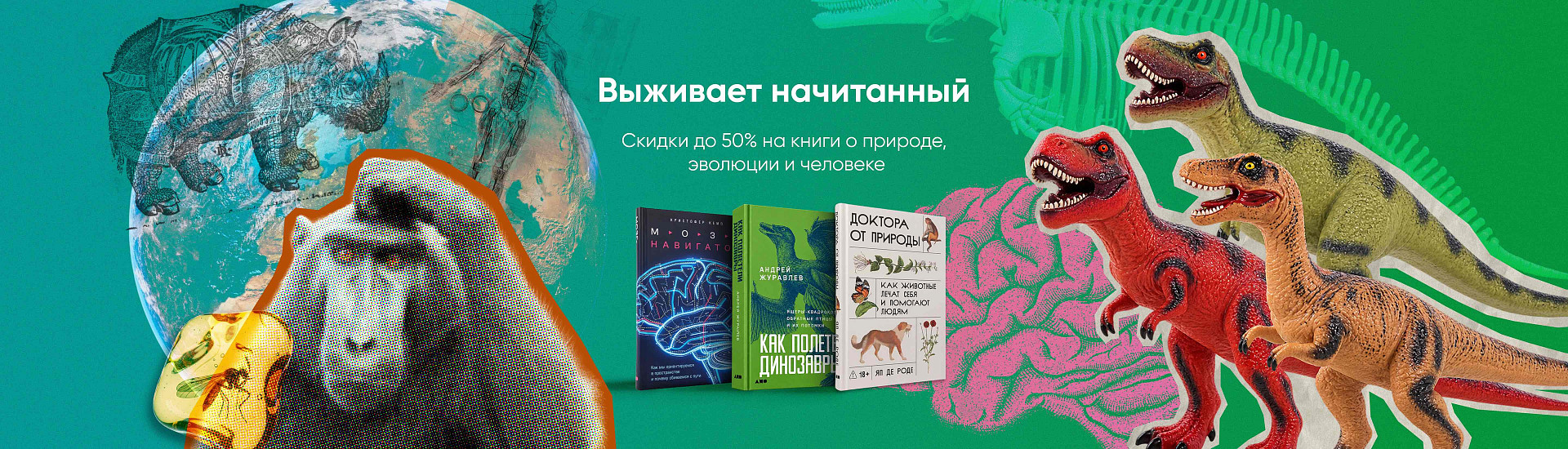 Название