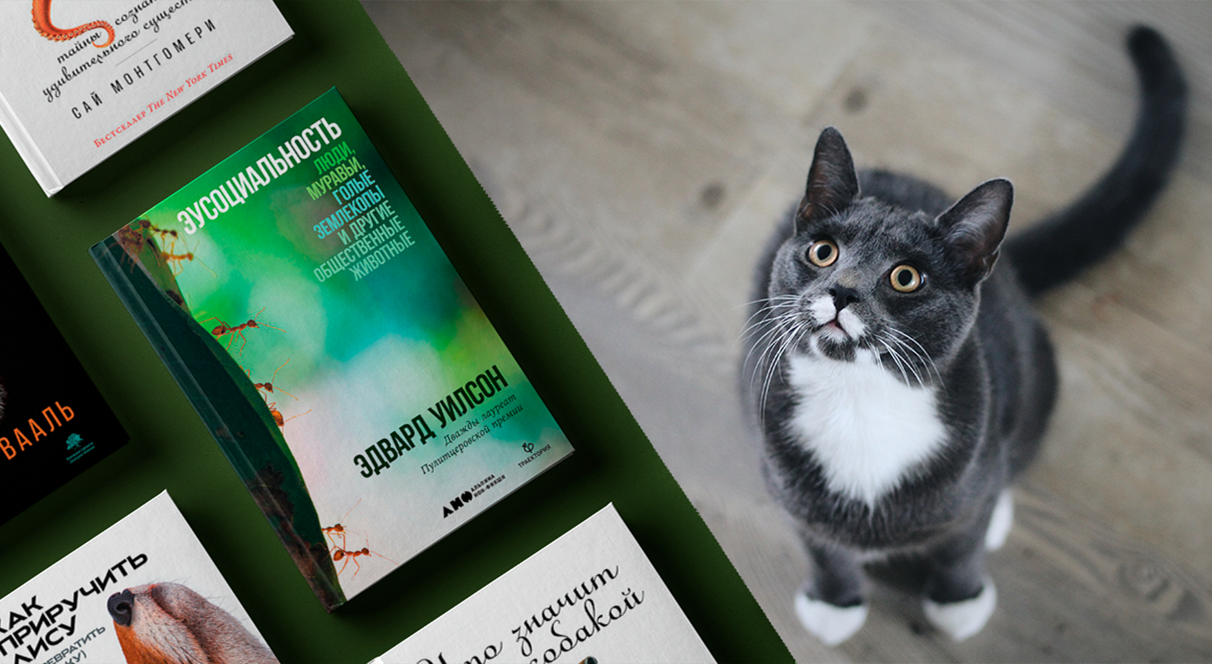 Книги про животных